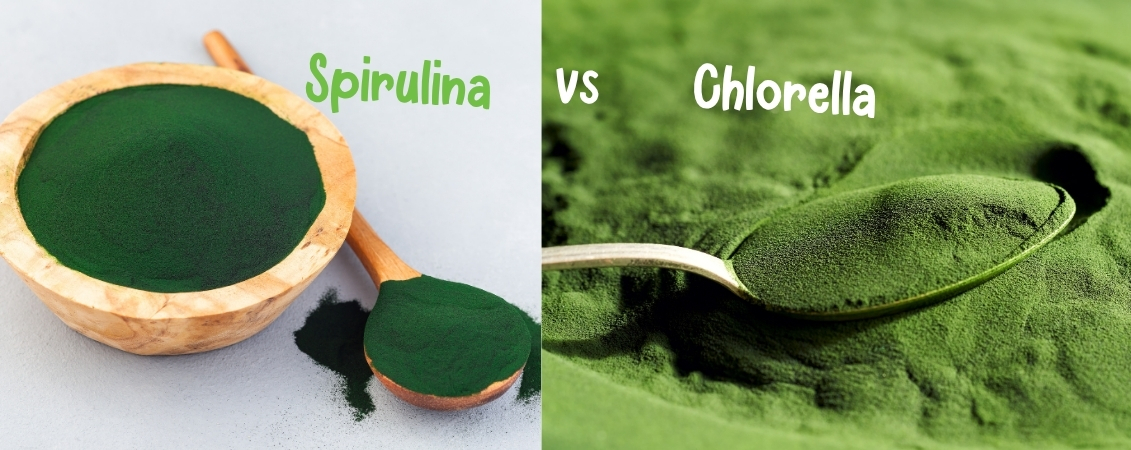 Spirulina Powder Spirulina Powder