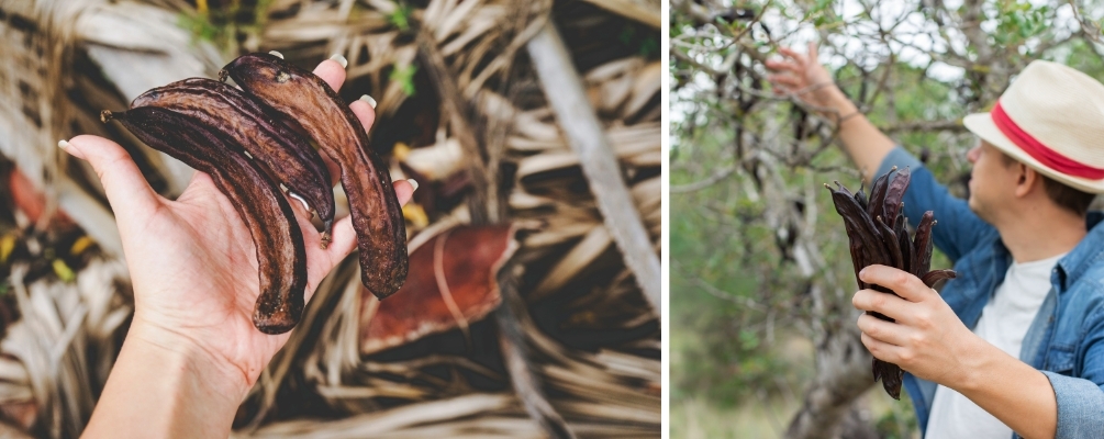 Carob Powder