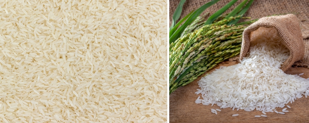 Jasmine Rice